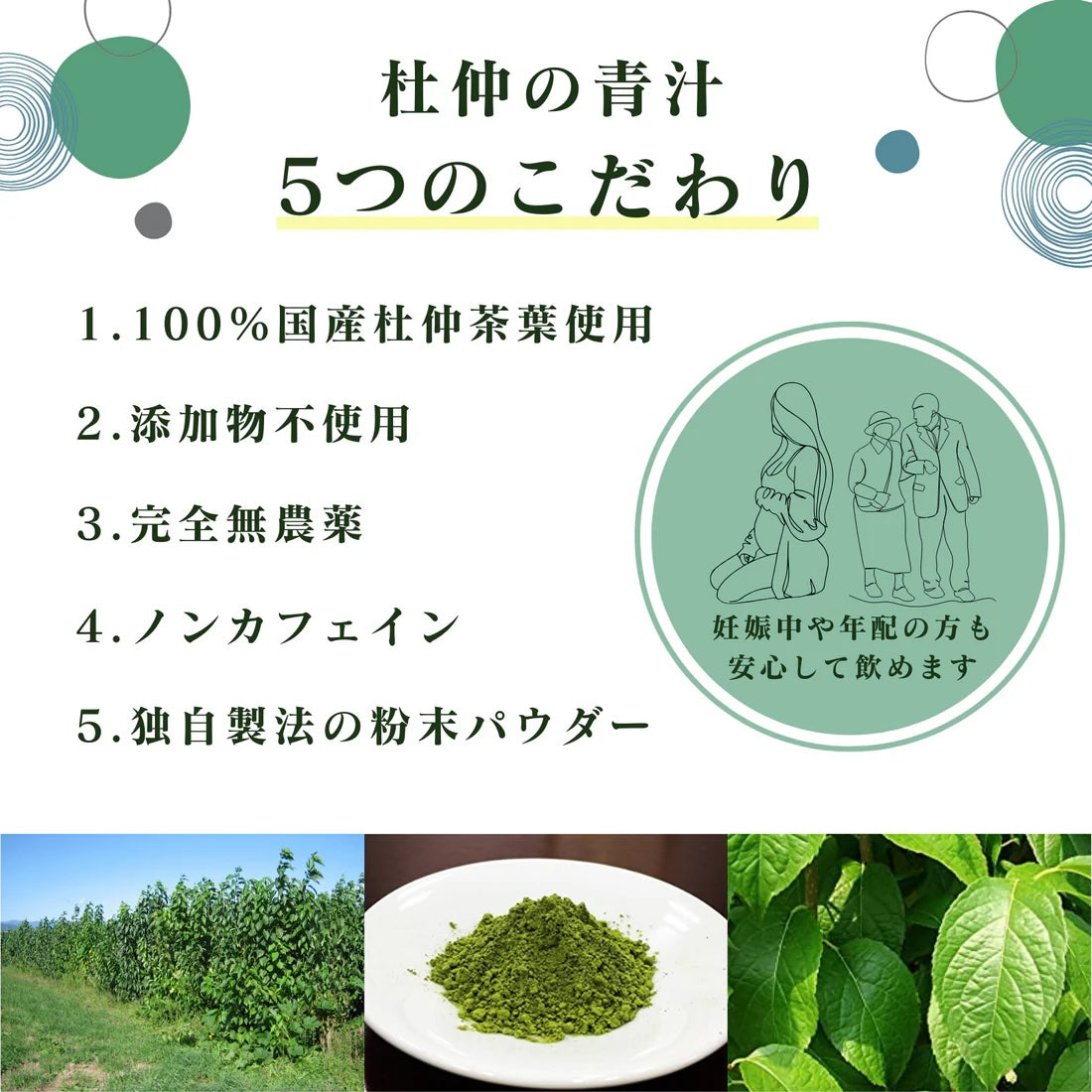 杜仲の青汁