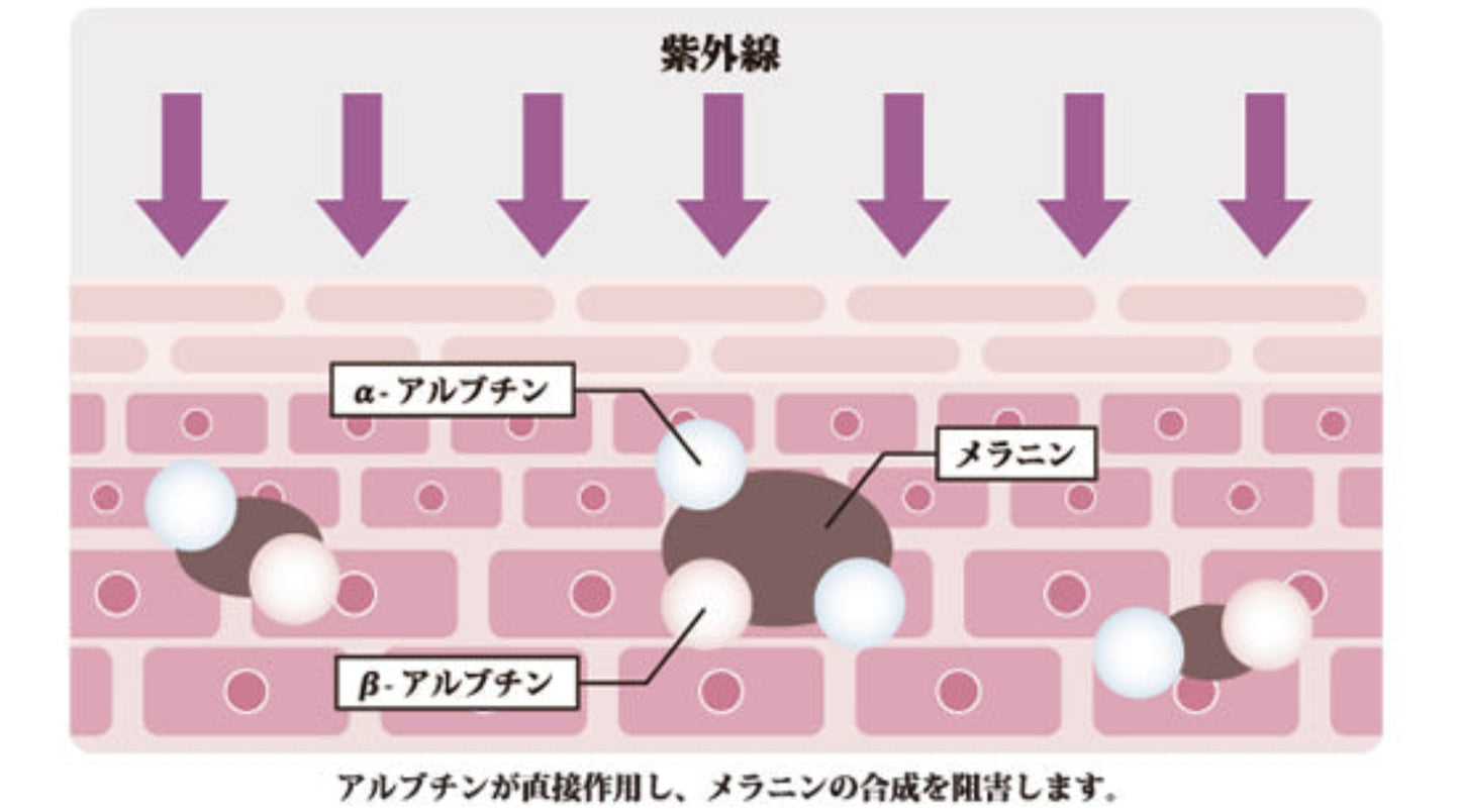 スキンシークレット ホワイトニングブースト